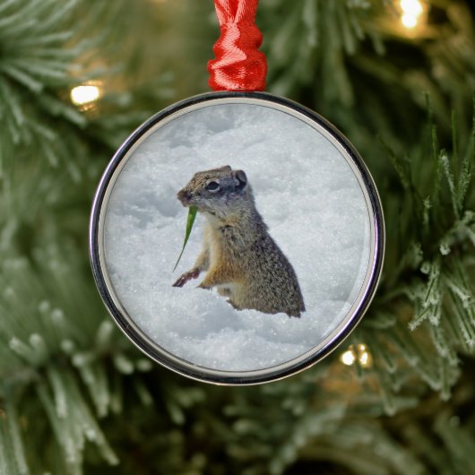 Richardson Ground Squirrel Metalen Ornament (Boom)