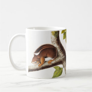 Richardson's Columbian Squirrel Illustratie Koffiemok