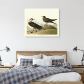 Richardson's jager van de Amerikaanse vogels van A Canvas Afdruk (Insitu (Slaapkamer))