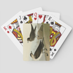 Richardson's jager van de Amerikaanse vogels van A Pokerkaarten