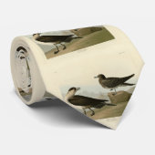 Richardson's jager van de Amerikaanse vogels van A Stropdas (Opgerold)