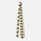 Richardson's jager van de Amerikaanse vogels van A Stropdas (Achterkant)