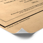  Richmond VA Rebel Defence Map (1864) Poster (Hoek)