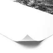 Richmond VA Virginia Monuments Collage Foto Afdruk (Hoek)