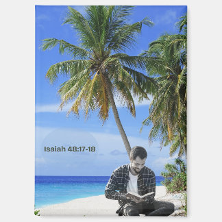 Richtingmagneet en geleidingsmagneet magneet