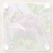 Ricinus communis glazen onderzetter (Achterkant)