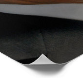 Rick Perry Poster (Hoek)