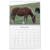 Ricks 2008 Random Pics C... Kalender (Feb 2027)