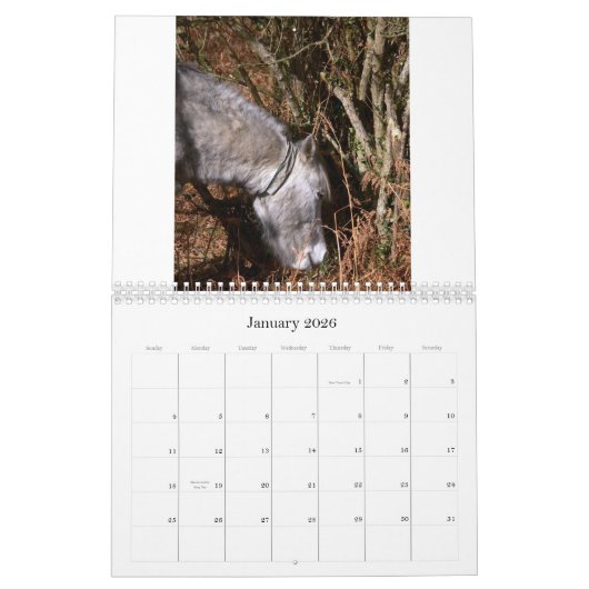 Ricks 2008 Random Pics C... Kalender (Jan 2026)