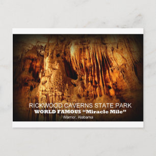 RICKWOOD CAVERNS STATE PARK - WARRIOR, ALABAMA BRIEFKAART
