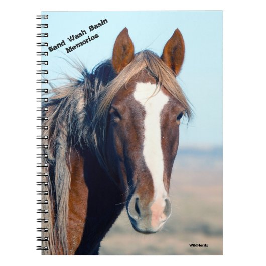 Ricochet van Sand Wash Basin Notitieboek (Voorkant)