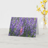 Riddersporen Kaart (Gele Bloem)