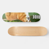 Ride for the Corgi Skateboard (Horizontaal)