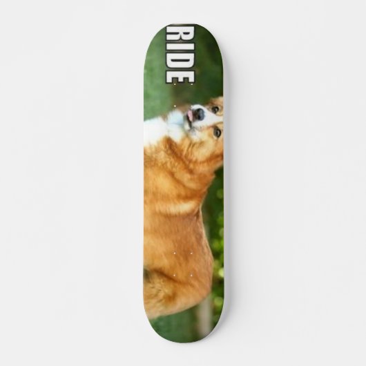 Ride for the Corgi Skateboard (Voorkant)