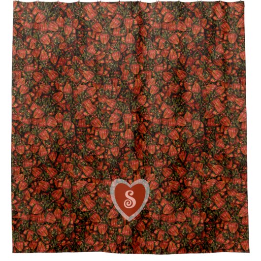 Rideau de douche à fraises (Devant)