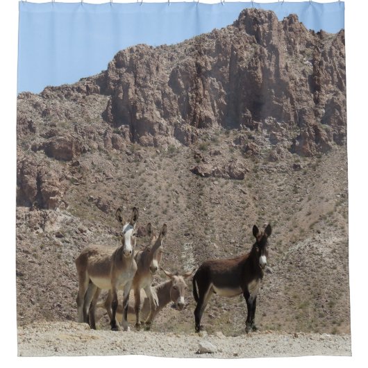 rideau de douche à la faune, burros sauvages, Ariz (Devant)