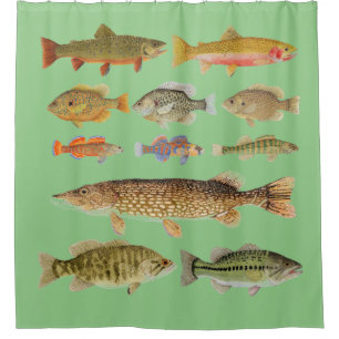 Rideau de douche à poissons d'eau douce