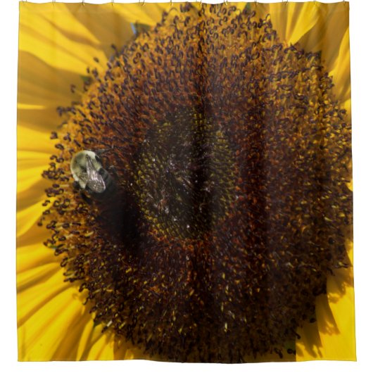 RIDEAU DE DOUCHE À SOUFFLE (Devant)