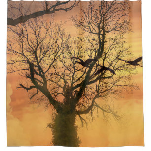 Rideau De Douche Arbre D'Automne Tordu Au Coucher 