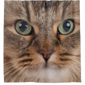 Rideau de douche au visage de chat sibérien (Devant)