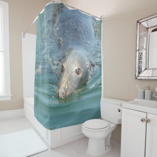 Rideau de douche avec un joli phoque du Cap Cod (En situation)