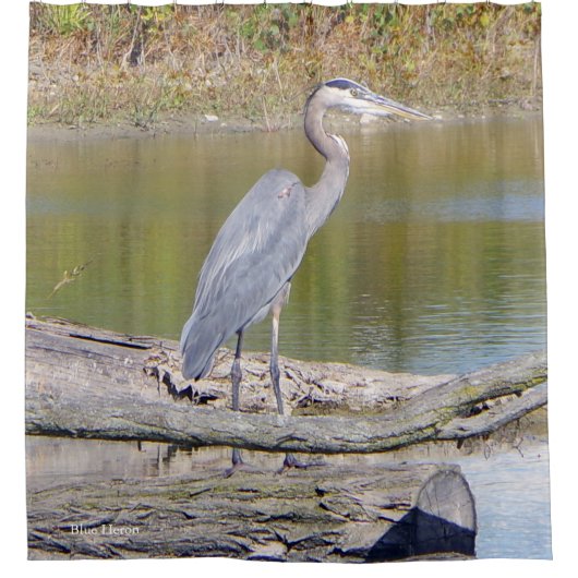 Rideau de douche Blue Heron (Devant)