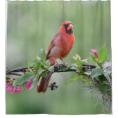 rideau de douche cardinal (Devant)