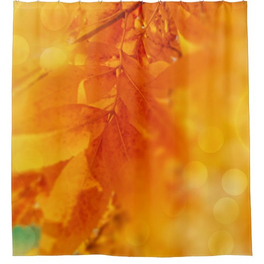Rideau de douche Coloré Feuilles Lumineuses d'auto (Devant)