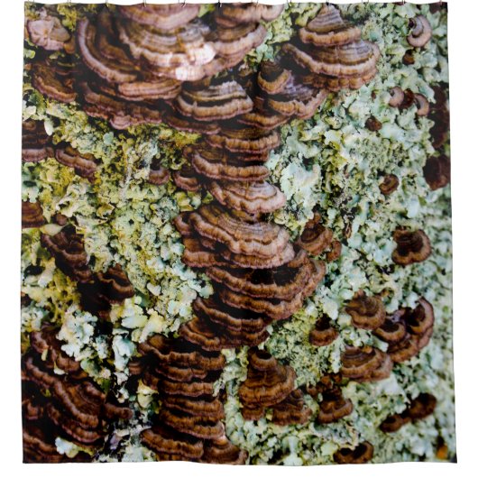 Rideau de douche de champignons Brown et vert (Devant)