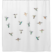 Rideau de douche de colibris (Devant)