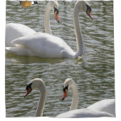 Rideau de douche de cygnes (Devant)