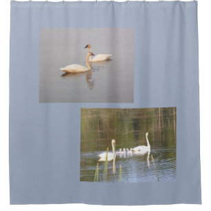 Rideau de douche de cygnes blancs
