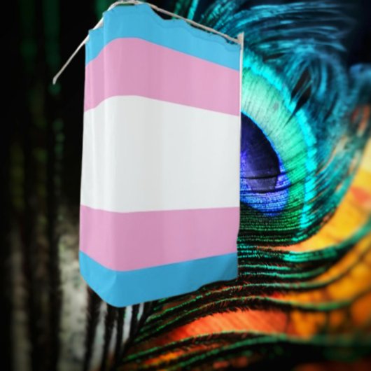 Rideau de douche de fierté trans : Éclaboussure d'
