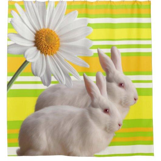 Rideau de douche de ressort (Devant)