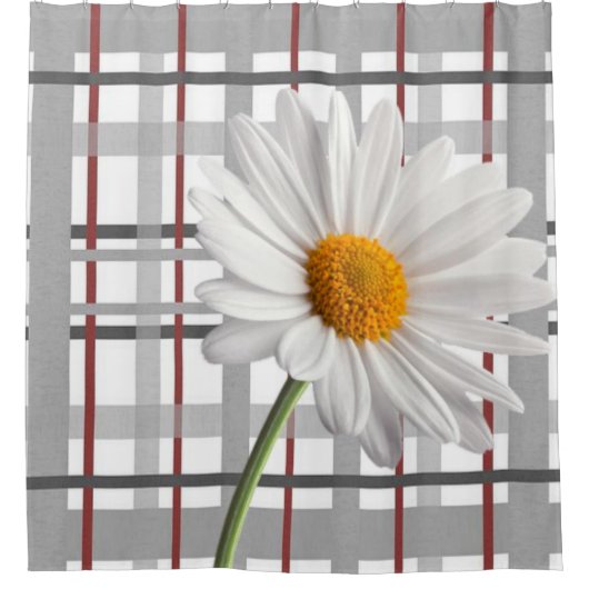 Rideau de douche de ressort (Devant)