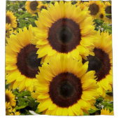 Rideau de douche de tournesol (Devant)