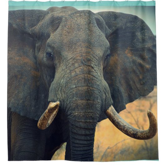 Rideau de douche d'éléphant africain (Devant)