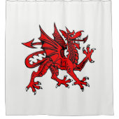 Rideau de douche Dragon (Devant)