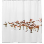 Rideau de douche Flamants roses (Devant)