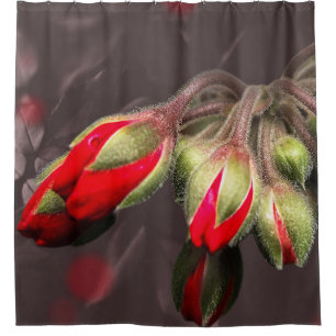 Rideau De Douche Fleur Rouge Et Foncé