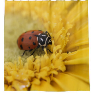 Rideau de douche Ladybug