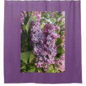 Rideau de douche Lilac violet (Devant)