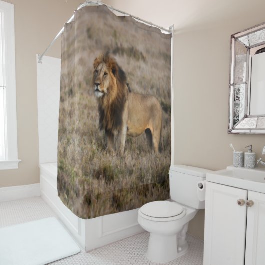 Rideau de douche Lion africain sauvage (En situation)