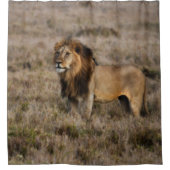Rideau de douche Lion africain sauvage (Devant)