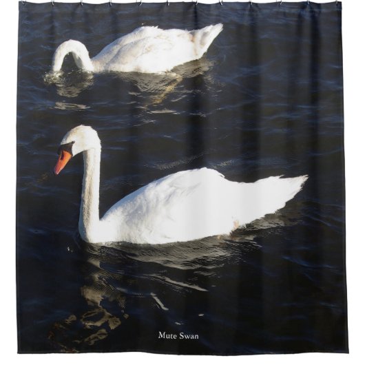 Rideau de douche Mute Swan (Devant)