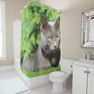 Rideau de douche pour chats gris Kitty