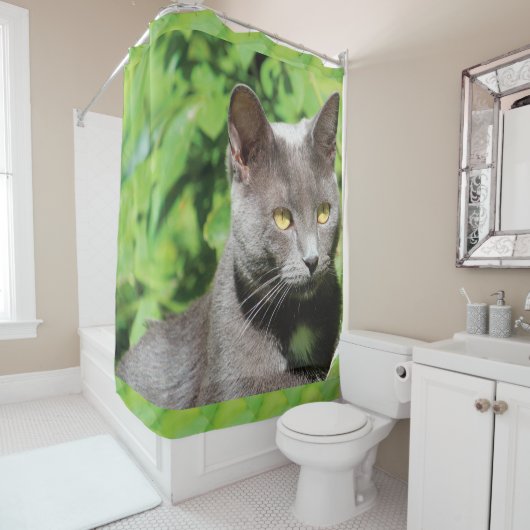 Rideau de douche pour chats gris Kitty (En situation)