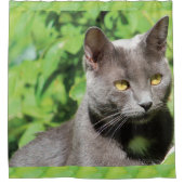 Rideau de douche pour chats gris Kitty (Devant)
