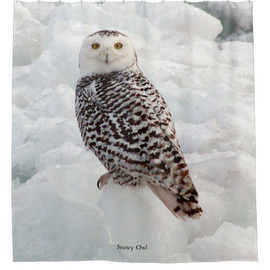rideau de douche Snowy Owl (Devant)