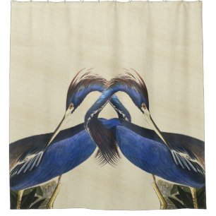 Rideau en douche animal de faune d'oiseaux de